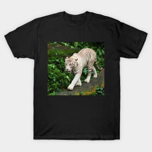 Walking The Beat T-Shirt